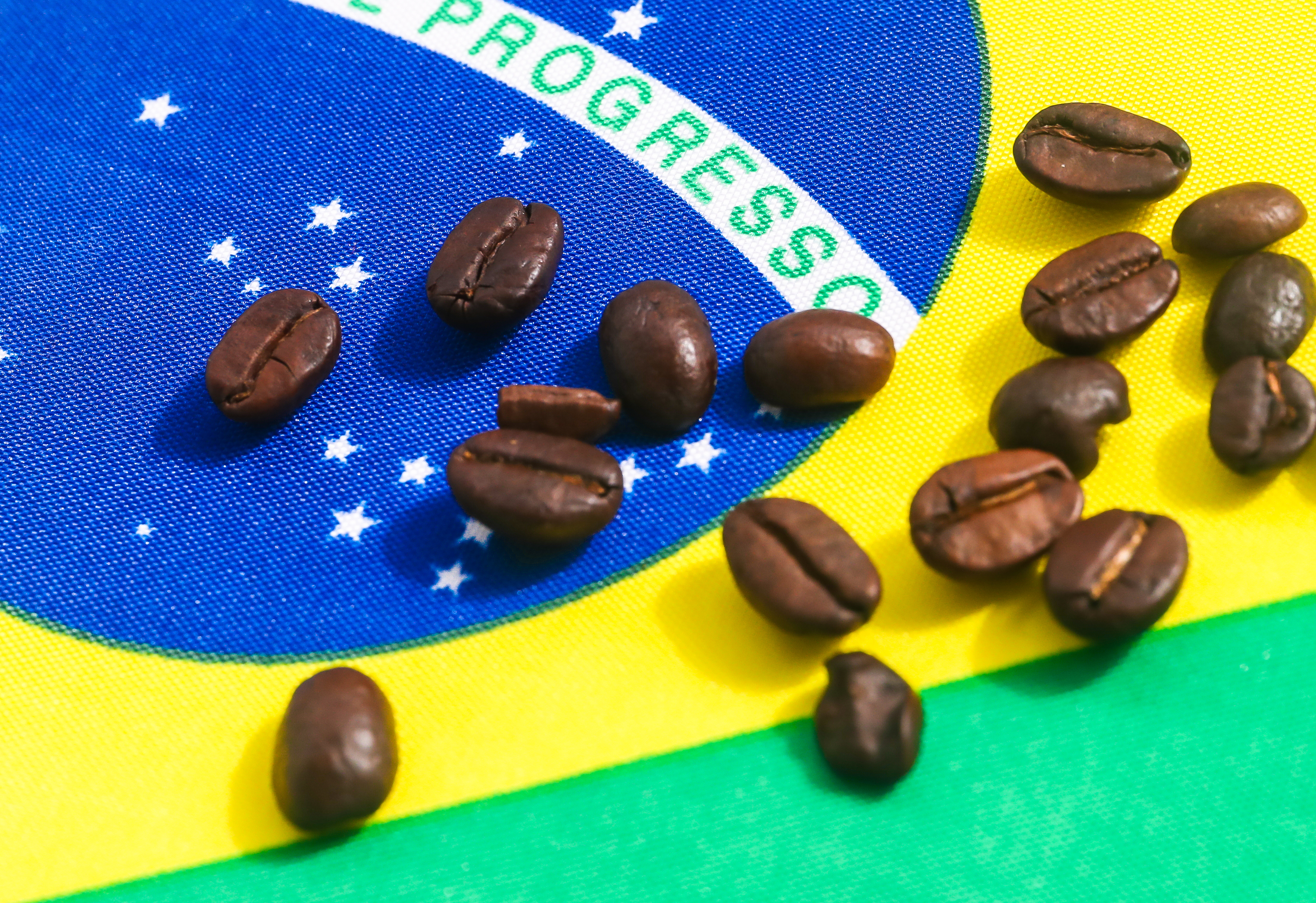 The Ripple Effect of U.S. Tariffs on Brazilian Coffee: What It Means for Roasters and How We Can Help