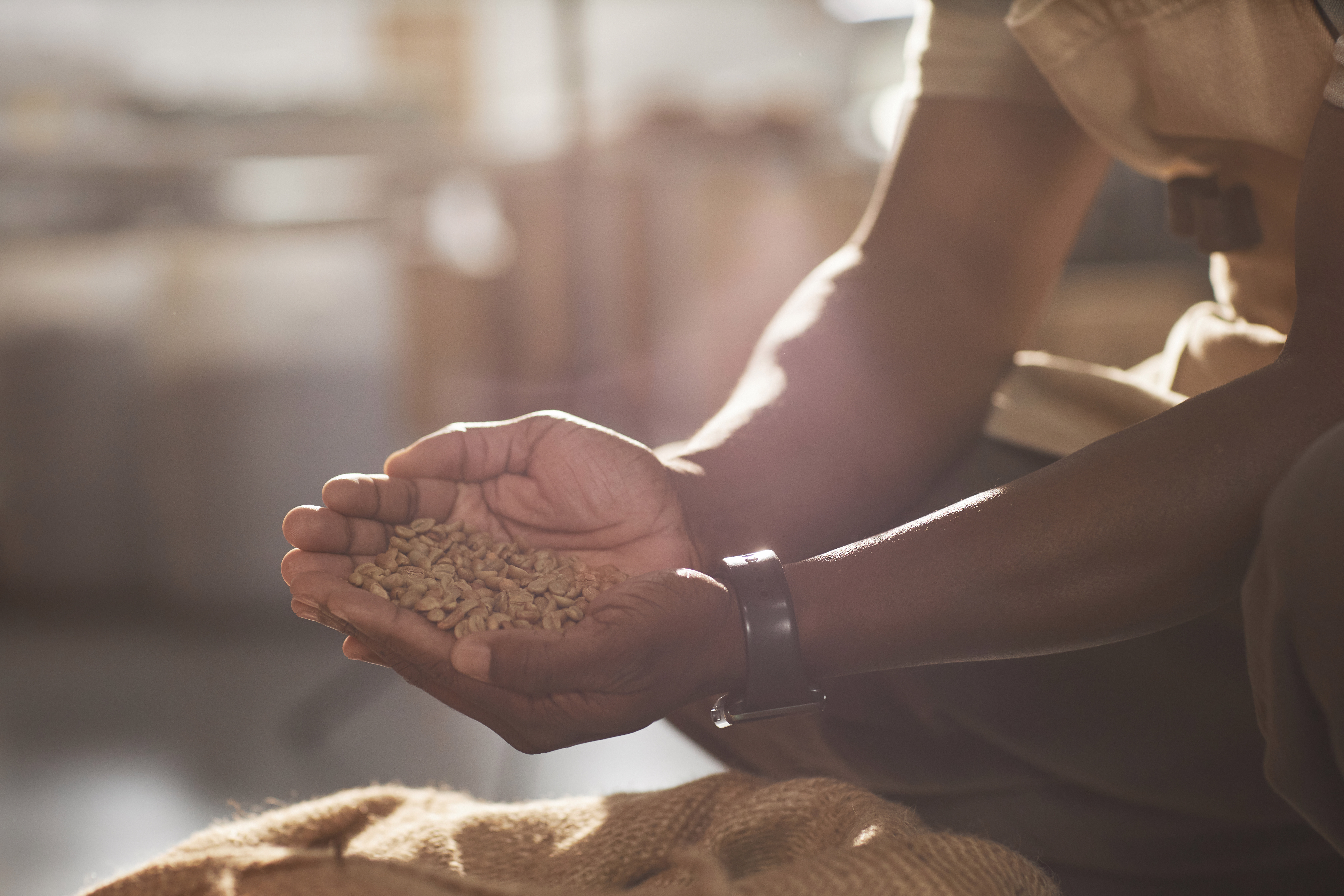 What the Elimination of DEI Means for Coffee Growers—and What We Can Do About It